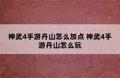 神武4手游丹山怎么加点 神武4手游丹山怎么玩